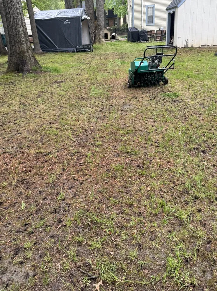 Professional yard cleanup service for year-round maintenance in Richmond, VA by DP Housescaping