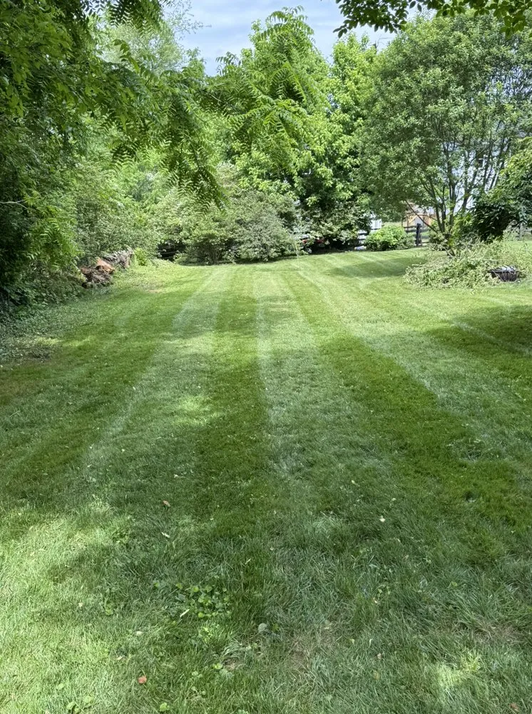 Expert yard maintenance in Richmond, VA by DP Housescaping