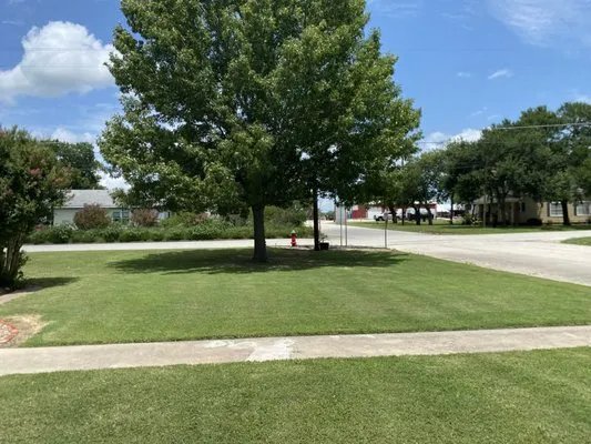 DP Landscaping & Lawncare