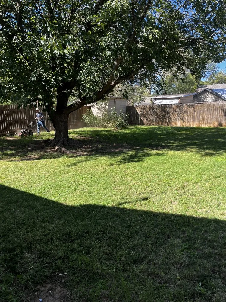 Local landscape design experts serving Lubbock, TX - D&P Landscaping