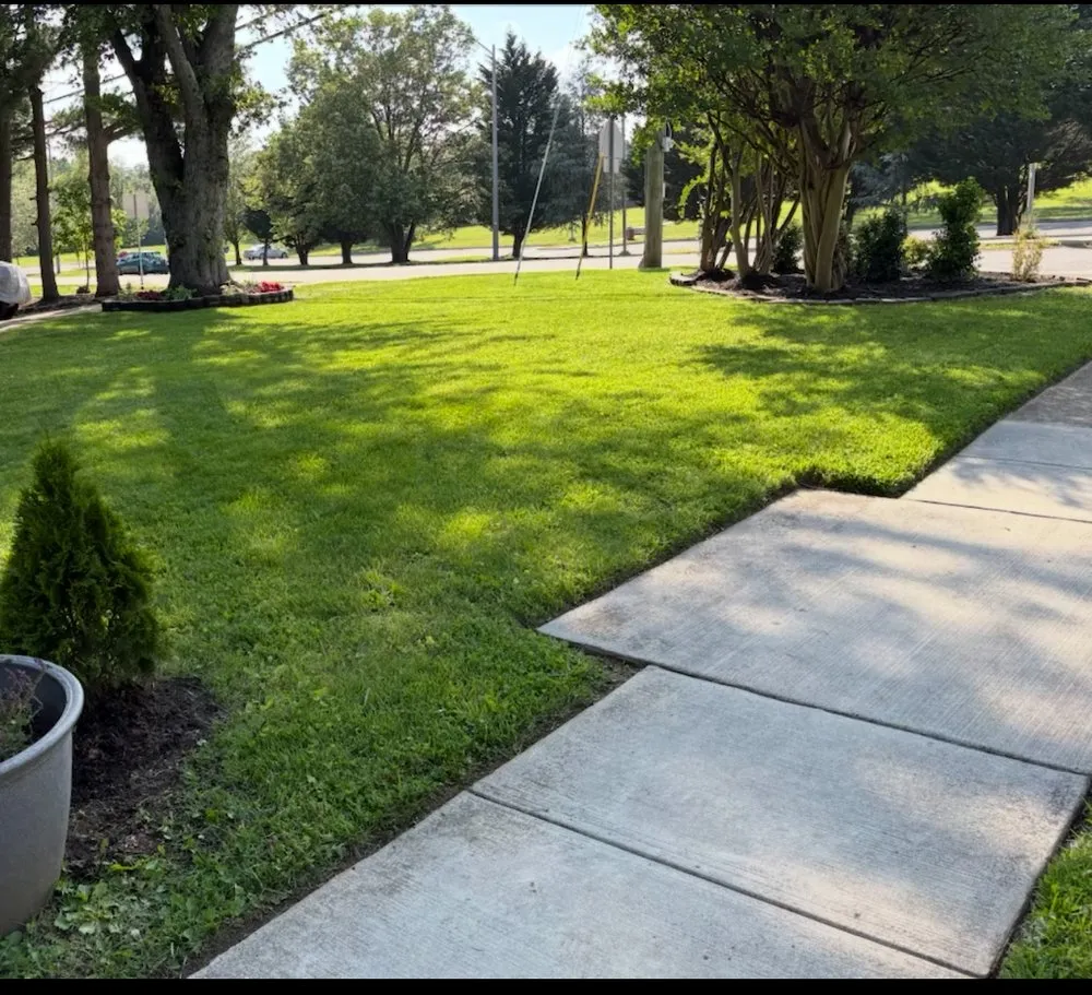 Affordable outdoor landscaping near you across New Carrollton, MD - D&P landscaping