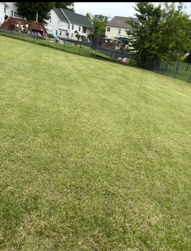 Local lawn care service in New Carrollton, MD - D&P landscaping