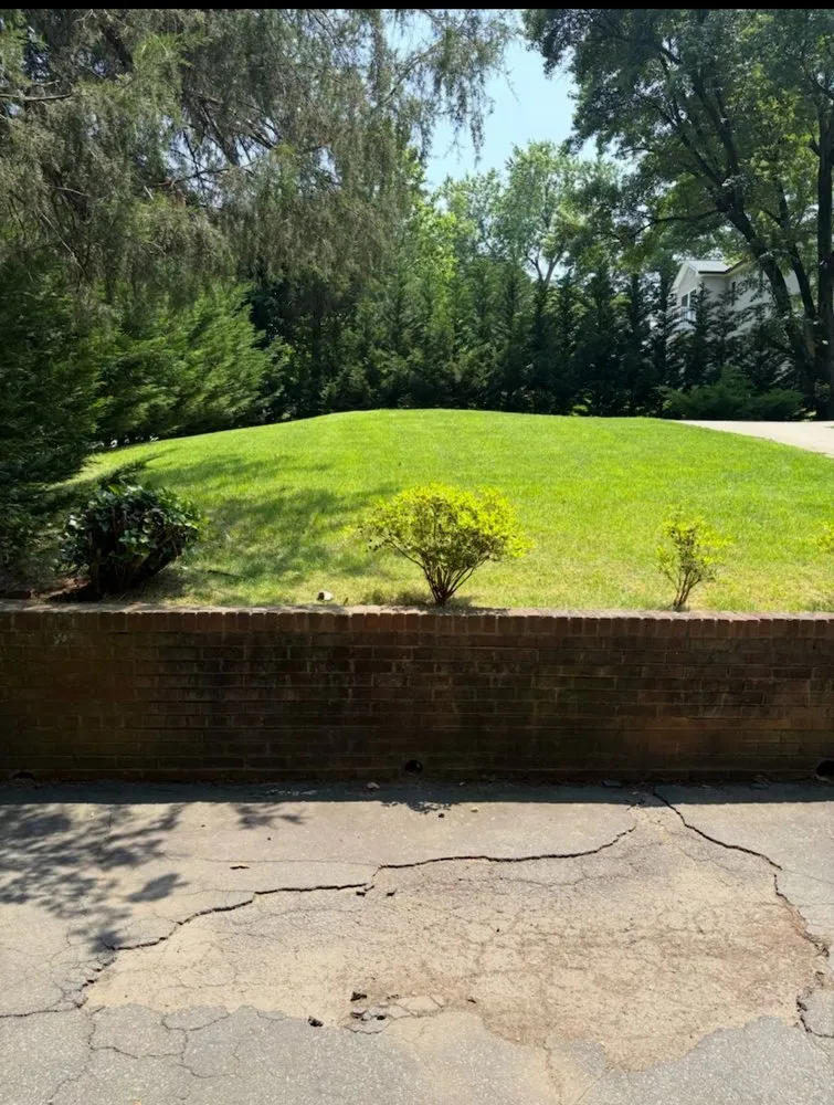 Reliable lawn mowing service for beautiful yards in New Carrollton, MD by D&P landscaping