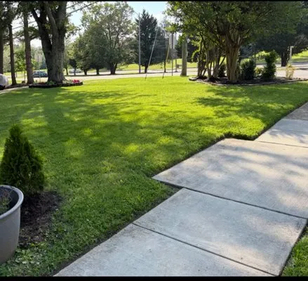 D&P landscaping