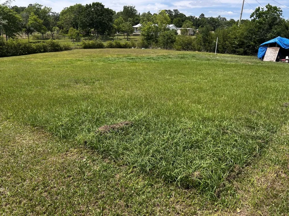 Trusted outdoor landscaping experts serving New Orleans, LA - DP Landscaping Services