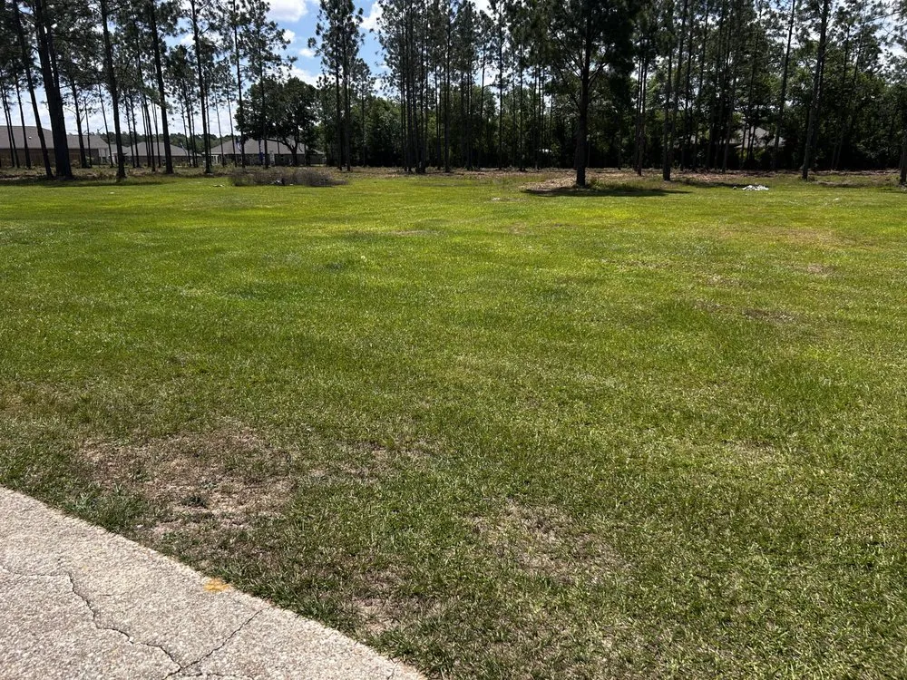 Trusted yard maintenance near you across New Orleans, LA - DP Landscaping Services