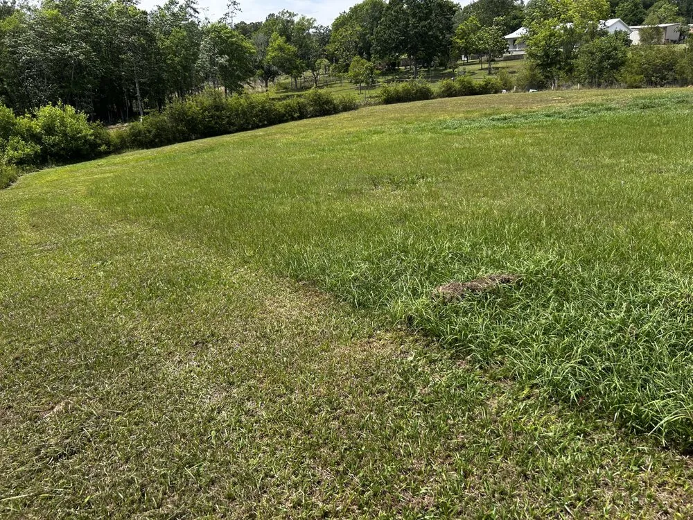 Top-rated outdoor landscaping in New Orleans, LA - DP Landscaping Services