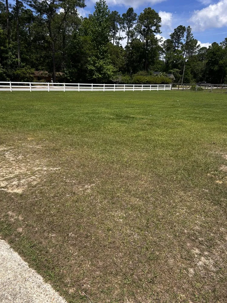 Reliable landscaping services in New Orleans, LA by DP Landscaping Services