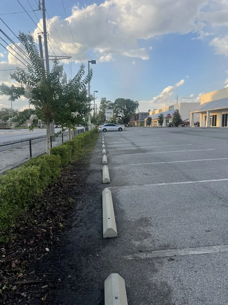 Top-rated lawn mowing service in Tampa, FL - Dp Landscaping