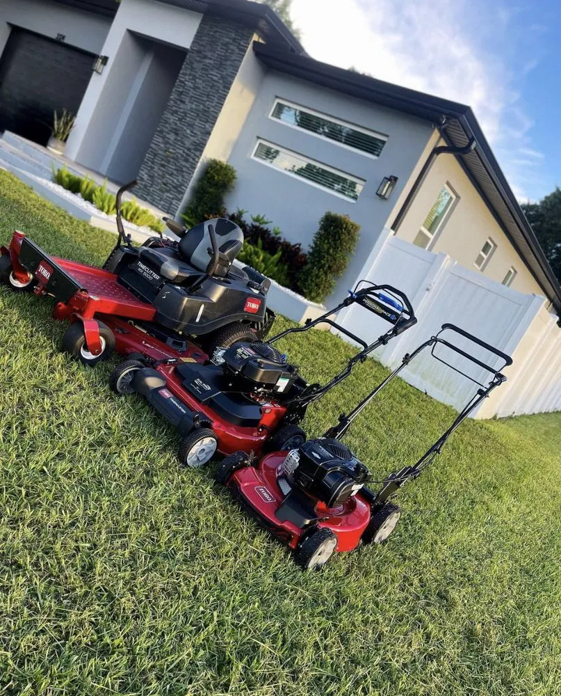 Local landscape design in Tampa, FL by Dp Landscaping