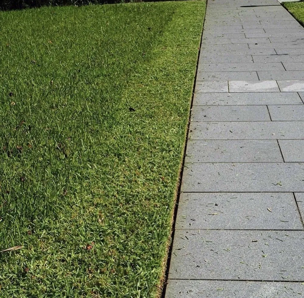 Local lawn care service for homes across Tampa, FL - Dp Landscaping