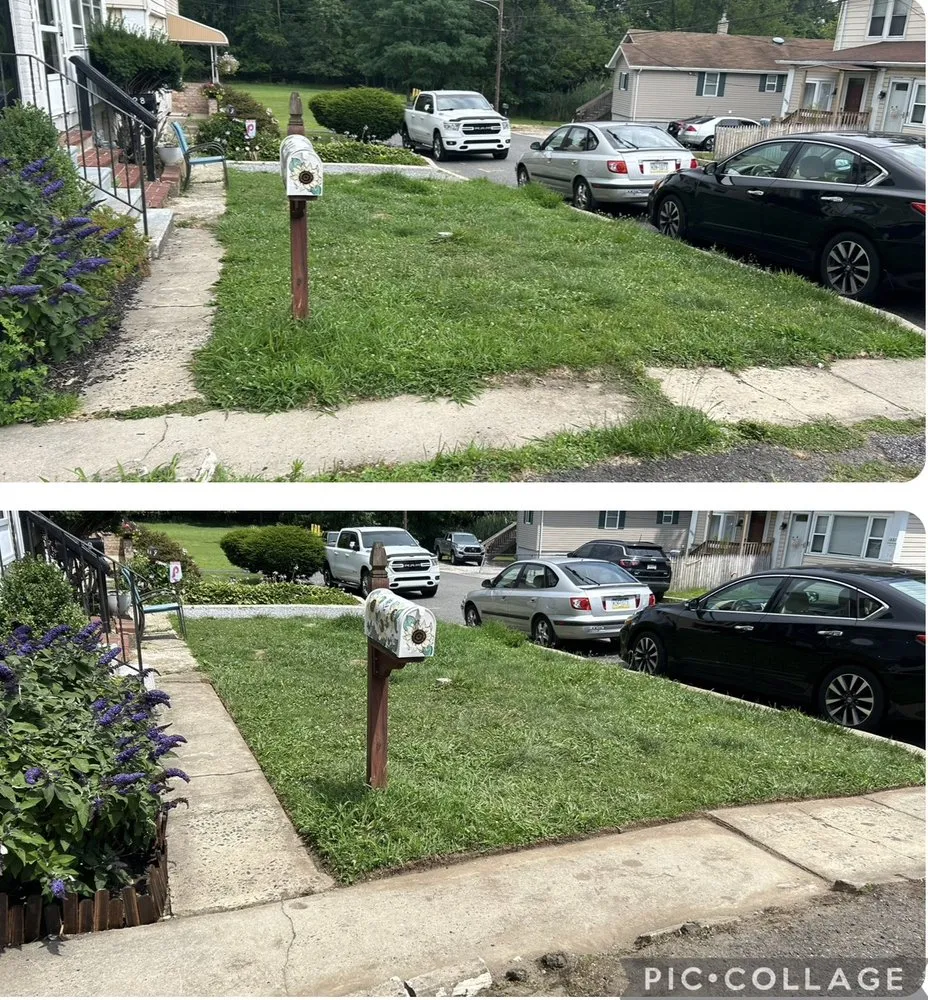 Expert outdoor landscaping experts serving Wallingford, PA - DP Lawn Care