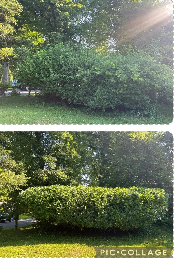 Reliable landscaping services experts serving Wallingford, PA - DP Lawn Care