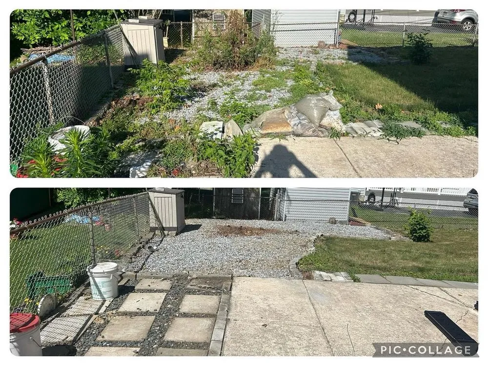 Affordable landscaping services experts serving Wallingford, PA - DP Lawn Care