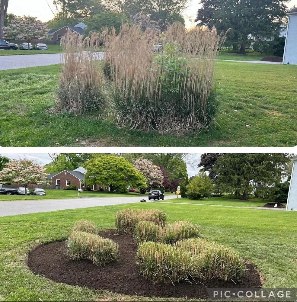 Top-rated landscape design for outdoor upgrades in Wallingford, PA by DP Lawn Care