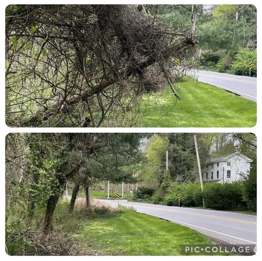 Custom garden landscaping with custom design across Wallingford, PA - DP Lawn Care