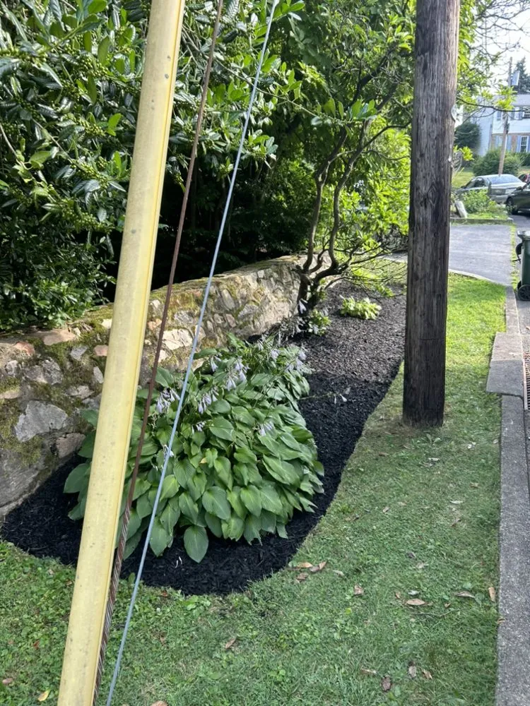 Local yard cleanup service for beautiful yards in Wallingford, PA by DP Lawn Care