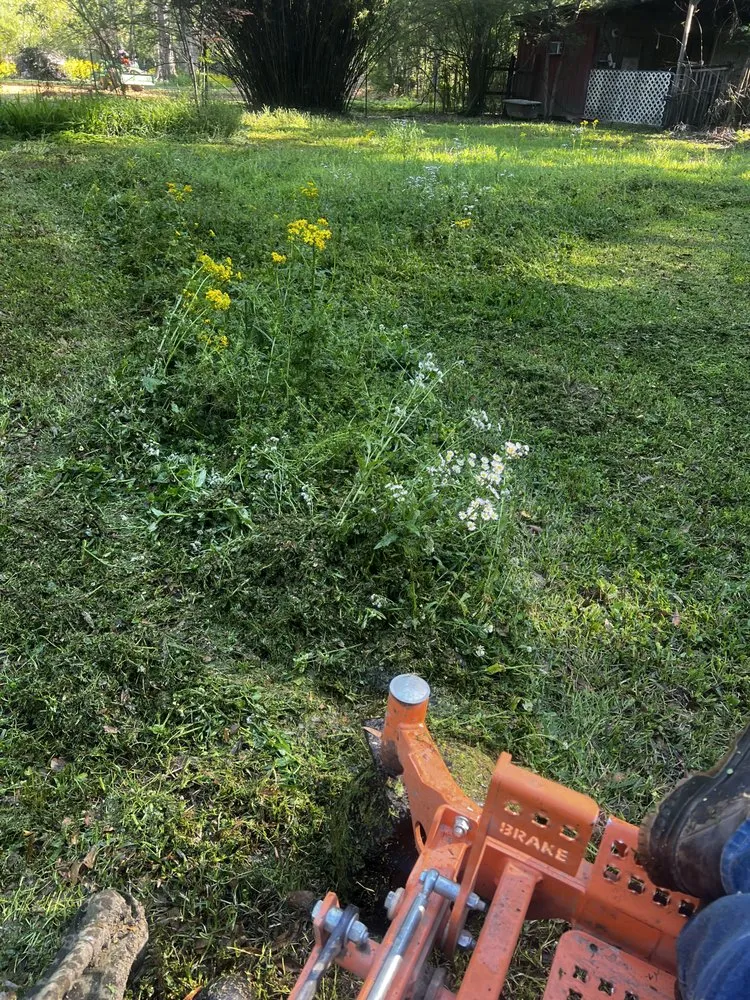 Affordable lawn mowing service in Greenwell Springs, LA - DP Lawn Service