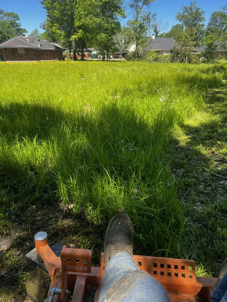 Professional landscaping services experts serving Greenwell Springs, LA - DP Lawn Service