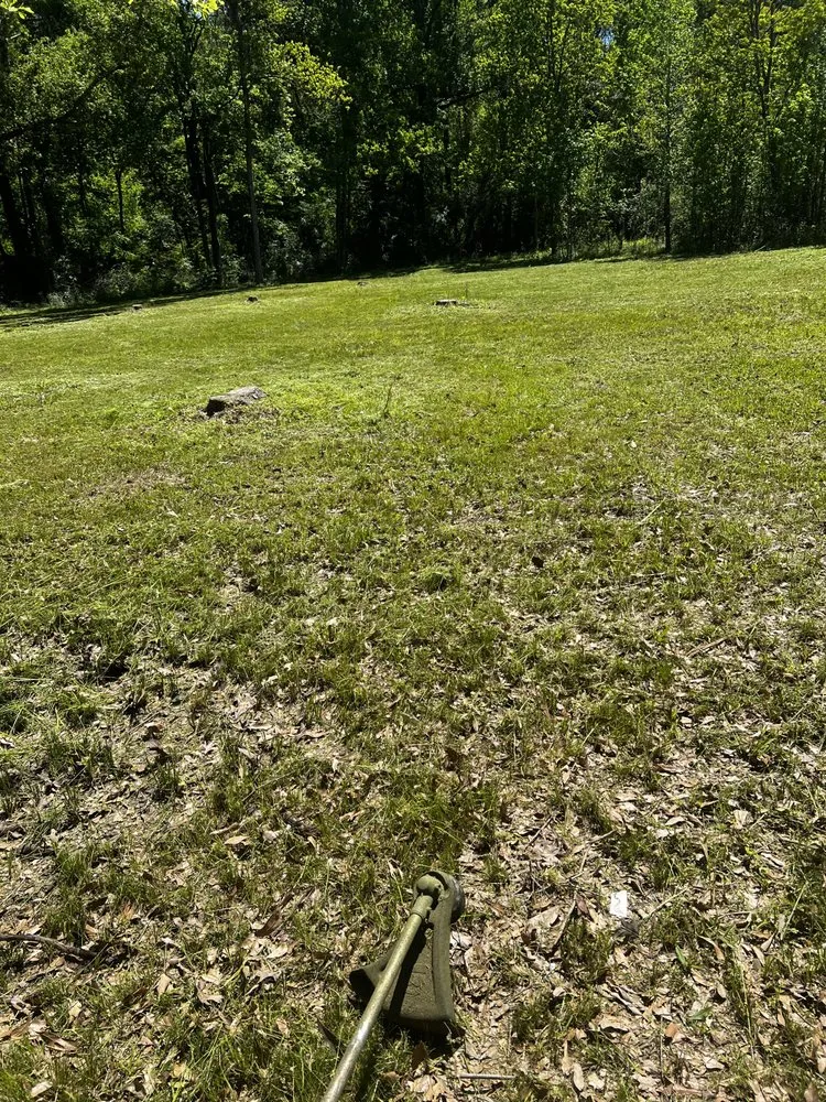 Expert lawn mowing service in Greenwell Springs, LA - DP Lawn Service