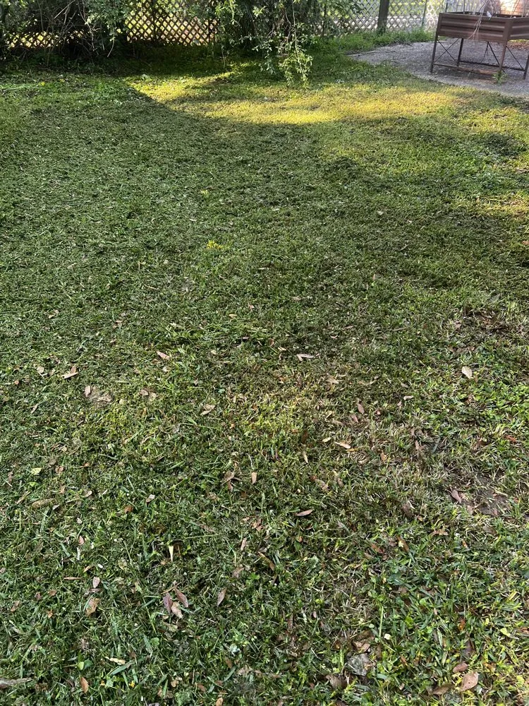 Affordable lawn care service for homes in Greenwell Springs, LA by DP Lawn Service