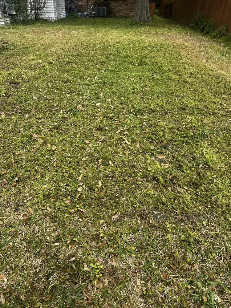 Top-rated lawn care service experts serving Greenwell Springs, LA - DP Lawn Service