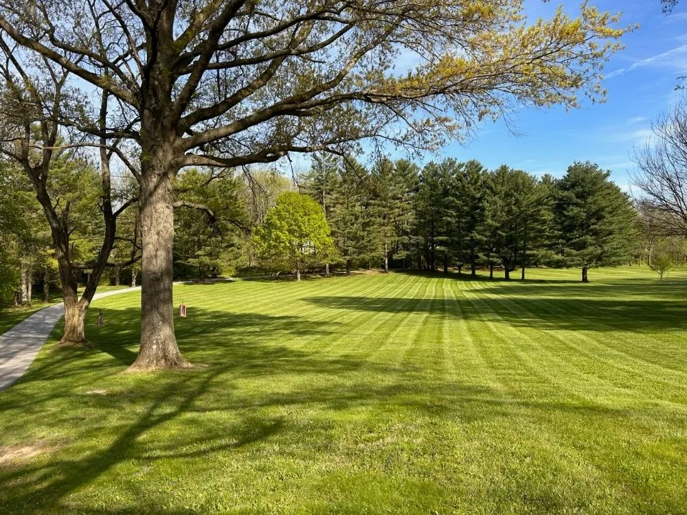 Custom landscape design in Indianapolis, IN by D&P Lawn Service