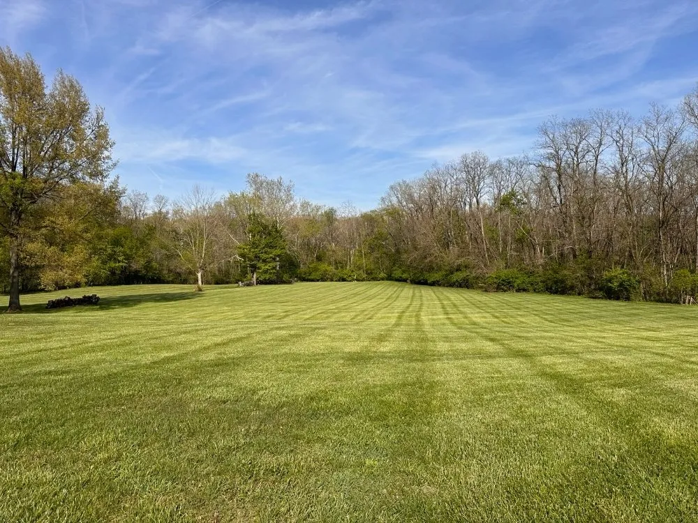 Top-rated outdoor landscaping in Indianapolis, IN by D&P Lawn Service