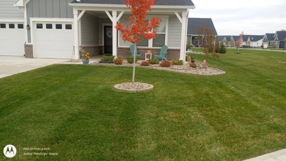 Local yard cleanup service for residential properties across Indianapolis, IN - D&P Lawn Service
