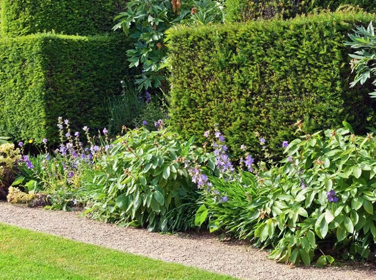 Custom garden landscaping near you in Louisville, TN by DP Lawn Service