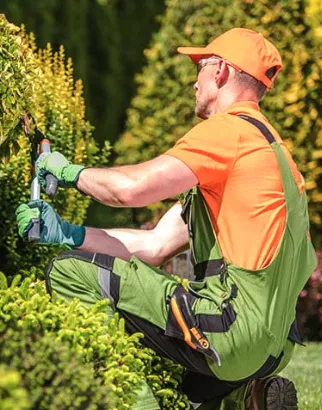 Affordable yard cleanup service for beautiful yards across Louisville, TN - DP Lawn Service