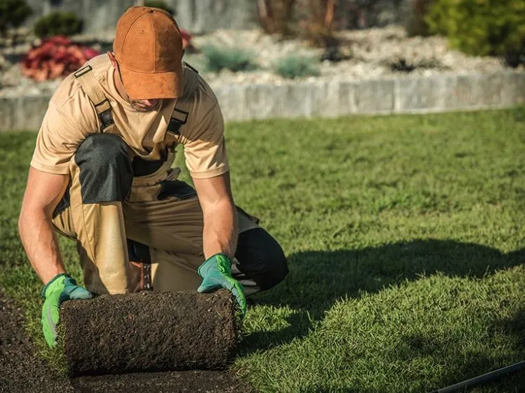 Professional lawn mowing service for residential properties across Louisville, TN - DP Lawn Service