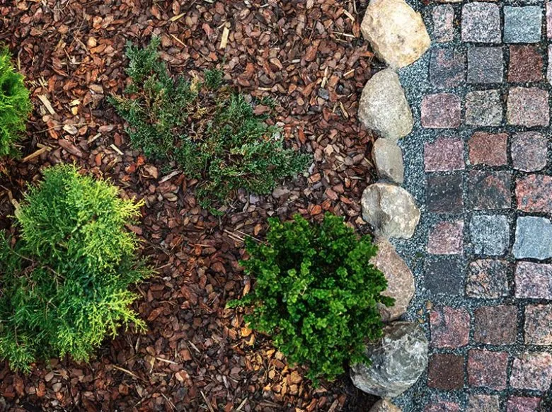 Top-rated landscape installation experts serving Louisville, TN - DP Lawn Service