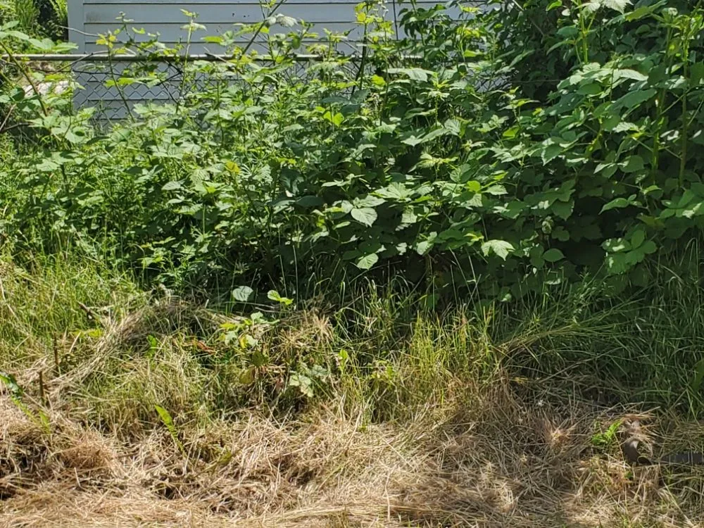 Local landscape installation for outdoor upgrades in Portland, OR by DP Lawn Service