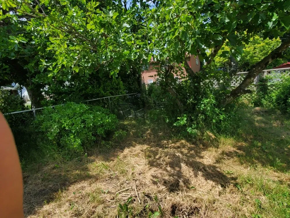 Reliable residential landscaping in Portland, OR by DP Lawn Service