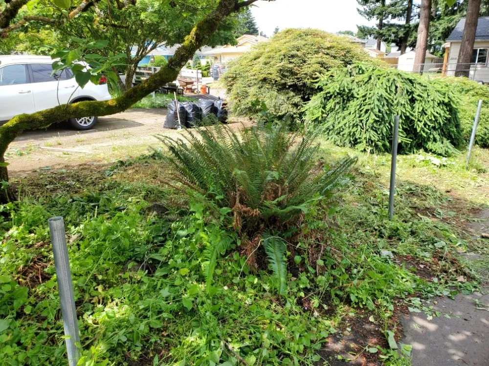 Top-rated landscape installation for year-round maintenance in Portland, OR by DP Lawn Service