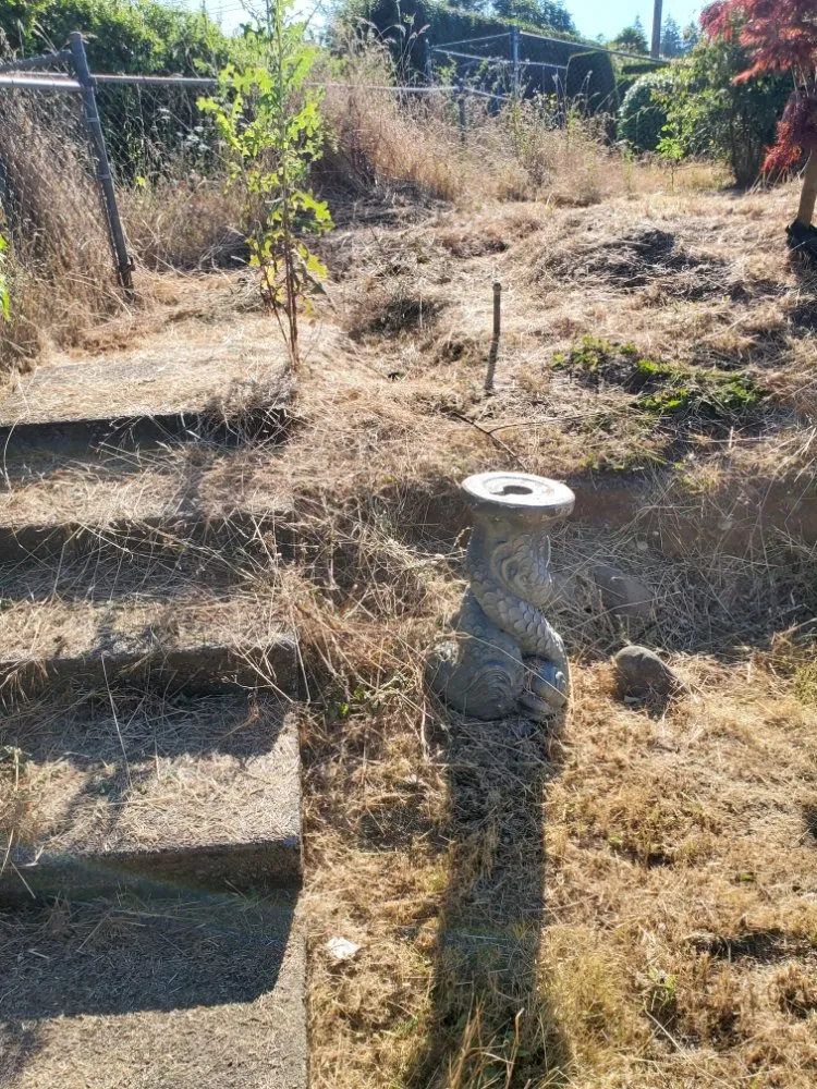 Professional landscaping services in Portland, OR by DP Lawn Service