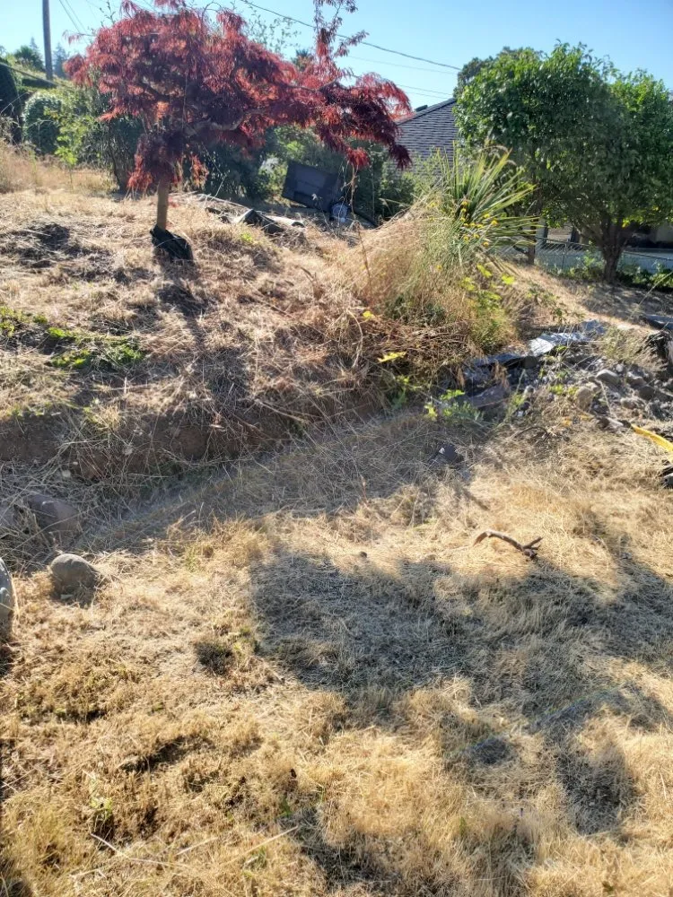 Affordable residential landscaping in Portland, OR by DP Lawn Service