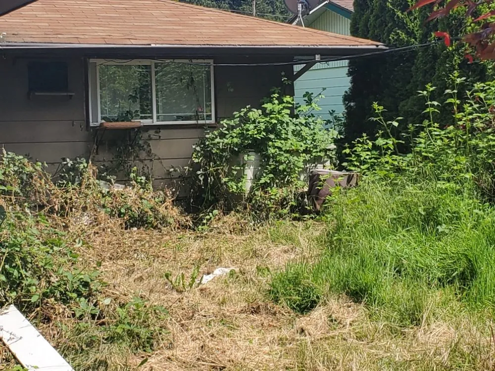 Top-rated landscaping services for year-round maintenance in Portland, OR by DP Lawn Service