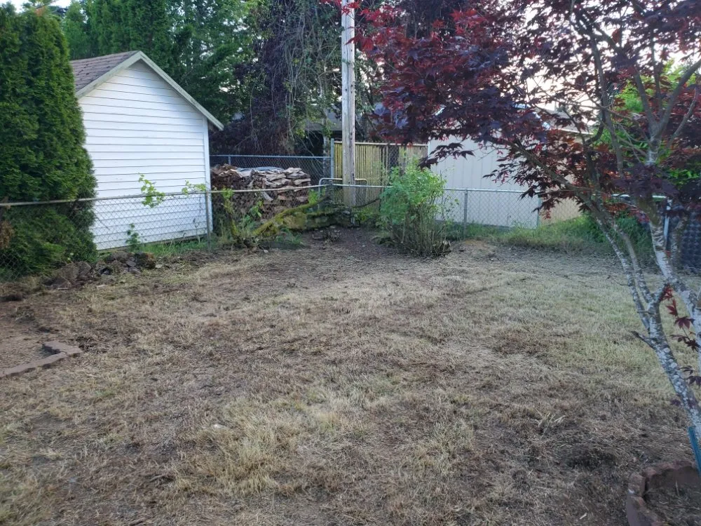 Reliable landscape design near you across Portland, OR - DP Lawn Service