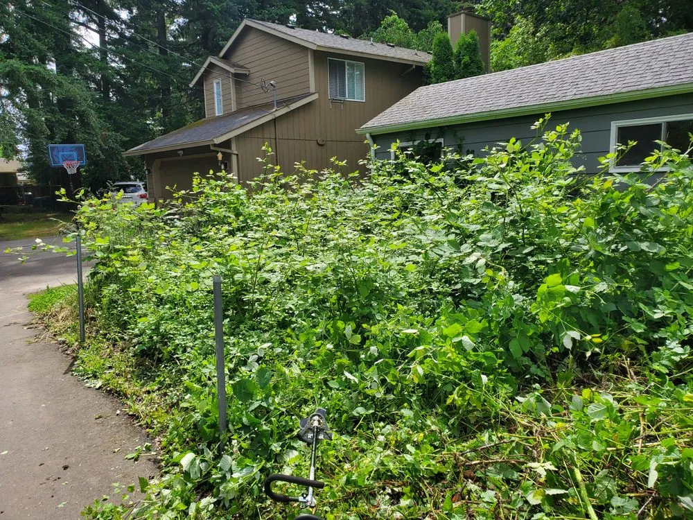 Trusted landscaping services in Portland, OR by DP Lawn Service