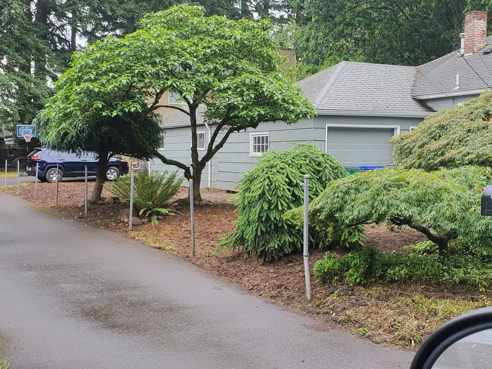 Local landscape design for homes in Portland, OR by DP Lawn Service