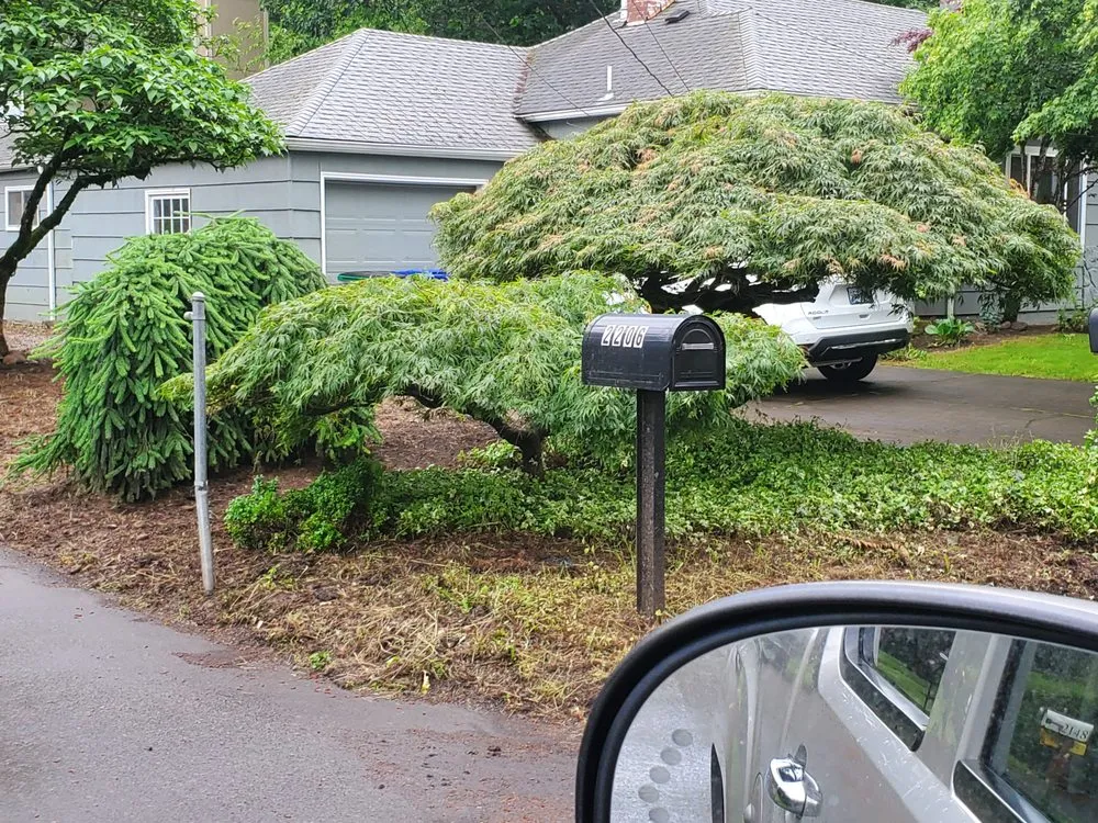 Affordable outdoor landscaping experts serving Portland, OR - DP Lawn Service