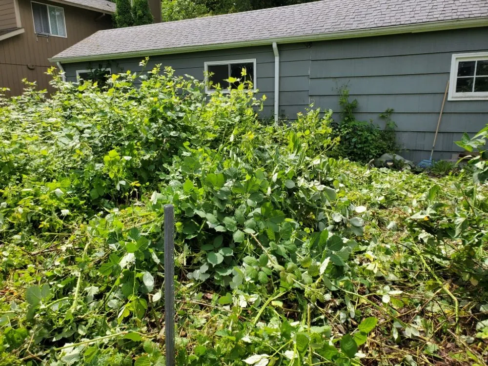 Expert garden landscaping for homes in Portland, OR by DP Lawn Service