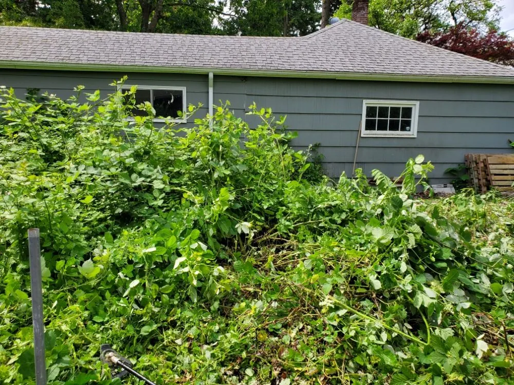 Affordable garden landscaping in Portland, OR by DP Lawn Service