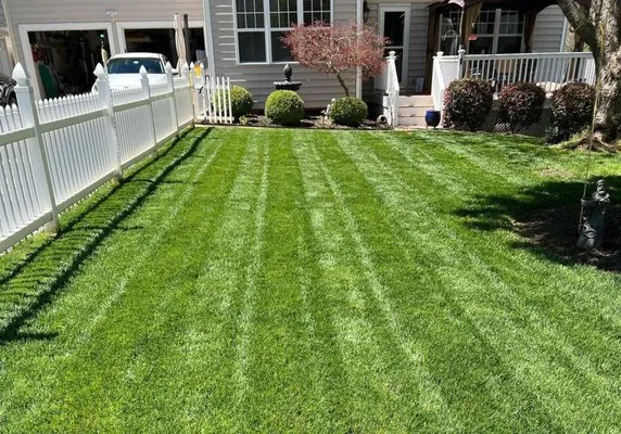 Dp Lawncare