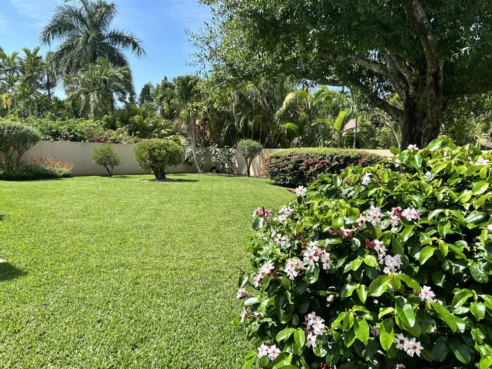 Local landscape installation in Lake Worth, FL by DP Pest Solutions