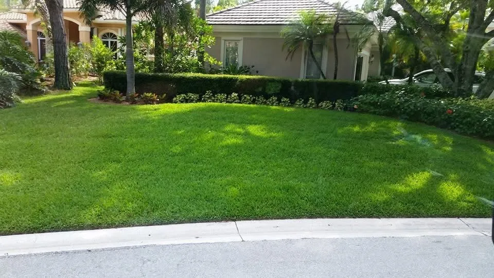Professional residential landscaping for residential properties in Lake Worth, FL by DP Pest Solutions
