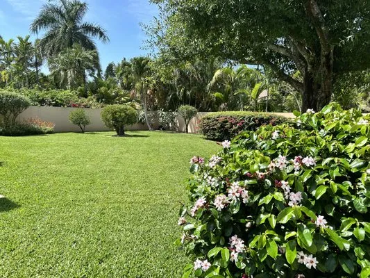 DP Pest Solutions Logo