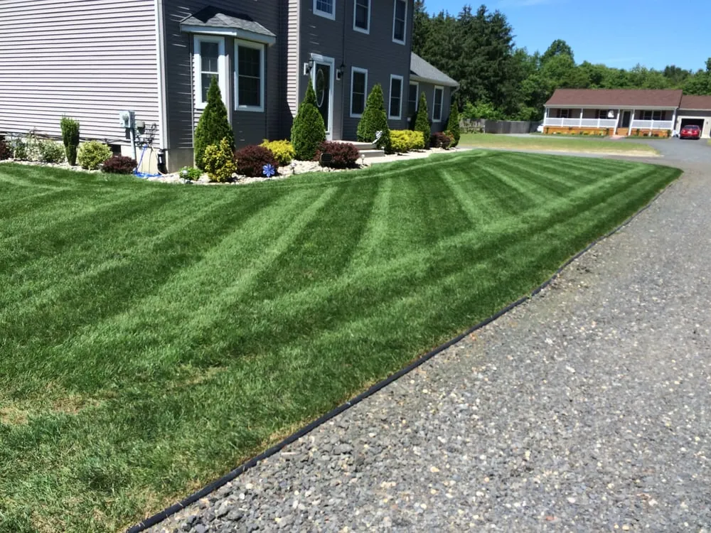 Custom yard cleanup service in Hammonton, NJ by D.P.A Lawns & Landscaping LLC.